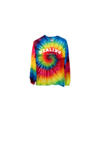Load image into Gallery viewer, Healing journey Tie dye long sleeve